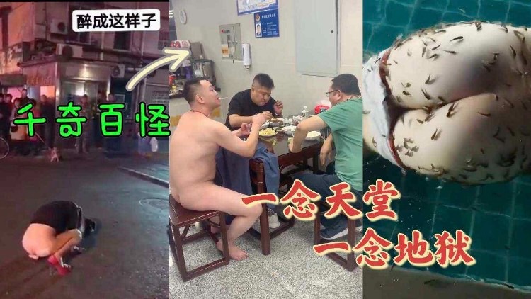 【重磅吃瓜】千奇百怪的大人们怎么是这个样子