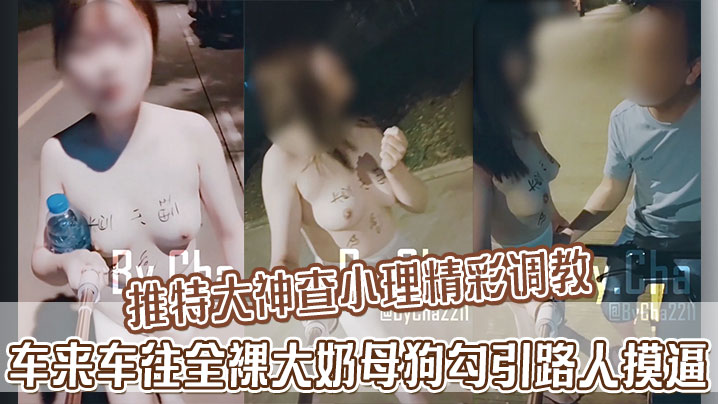 推特大神查小理精彩调教 车来车往全裸大奶母狗勾引路人摸逼
