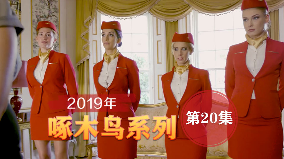 崇洋媚外極品身材美模 啄木鸟19年系列-第20集