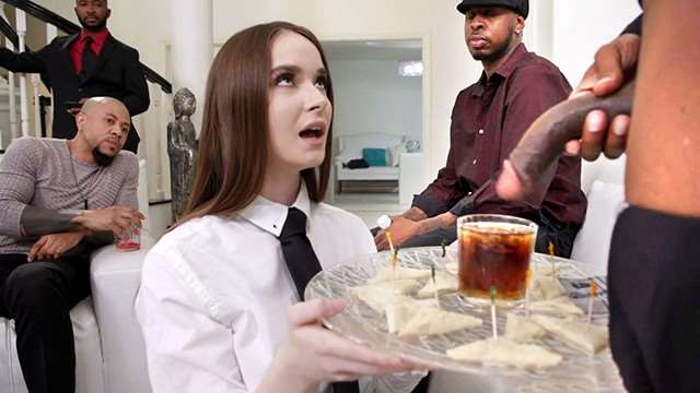 HazelMoore的菊花被大黑【DogfartNetwork】